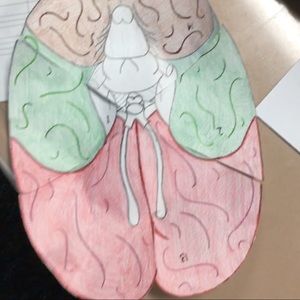 Meet your Posher, Jay